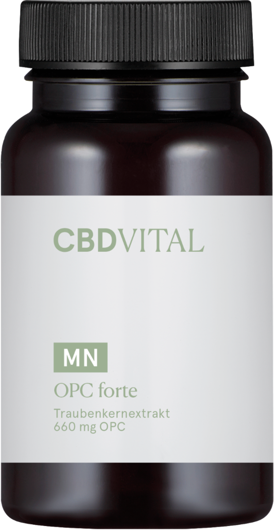 CBD VITAL | OPC forte | Traubenkernextrakt 660 mg OPC Kapseln